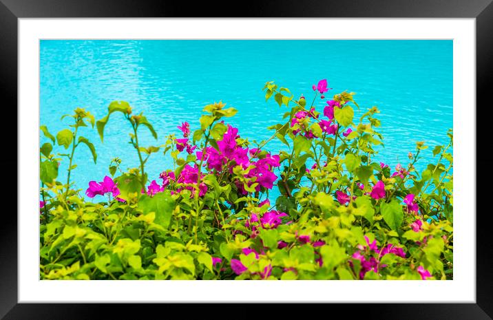   old plantation house Curacao Views  Framed Mounted Print by Gail Johnson