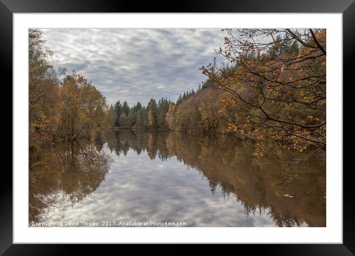 Autumn Lake Reflections Framed Mounted Print by David Tinsley
