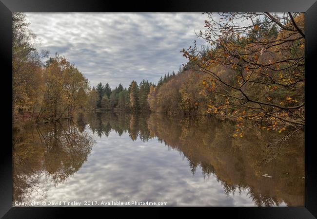 Autumn Lake Reflections Framed Print by David Tinsley