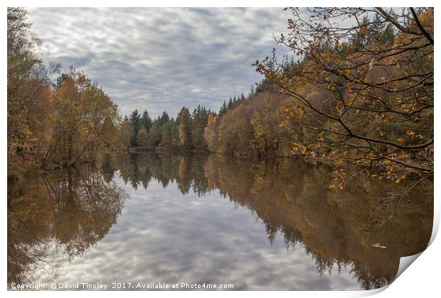 Autumn Lake Reflections Print by David Tinsley