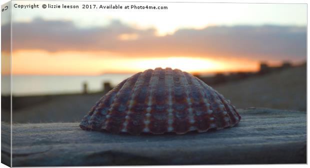 Beautigul shell against the sunset Canvas Print by lizzie leeson