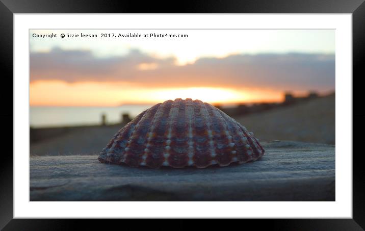 Beautigul shell against the sunset Framed Mounted Print by lizzie leeson