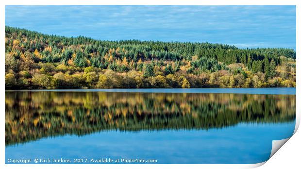 Tree Reflection Llwyn Onn Reservoir Brecon Beacons Print by Nick Jenkins