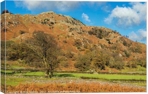 The Tilberthwaite Valley Lake District Cumbria Canvas Print by Nick Jenkins