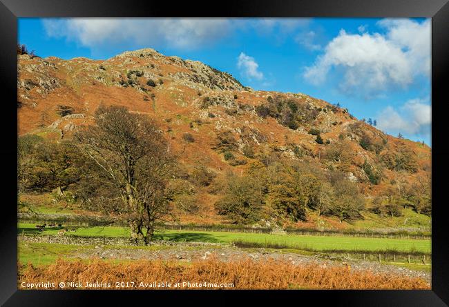 The Tilberthwaite Valley Lake District Cumbria Framed Print by Nick Jenkins