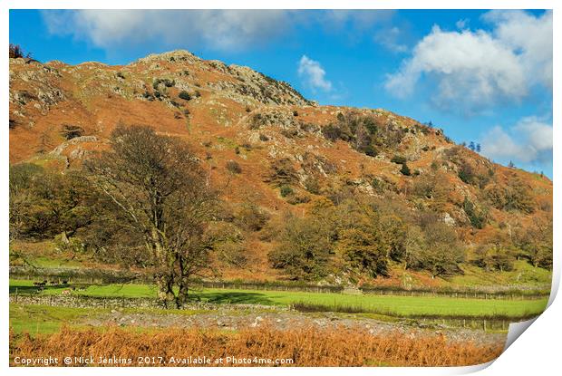The Tilberthwaite Valley Lake District Cumbria Print by Nick Jenkins