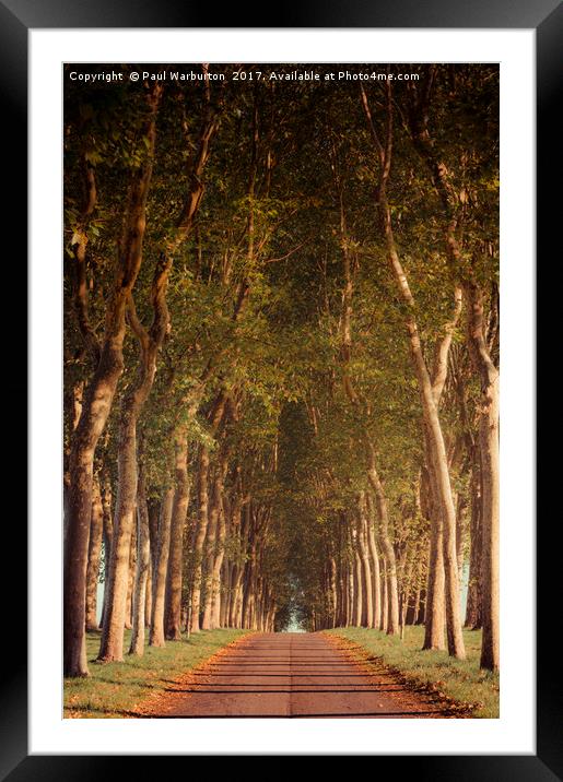 Warm French Tree Lined Country Lane Framed Mounted Print by Paul Warburton