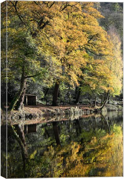 Autumn Reflected Canvas Print by Peter Zabulis