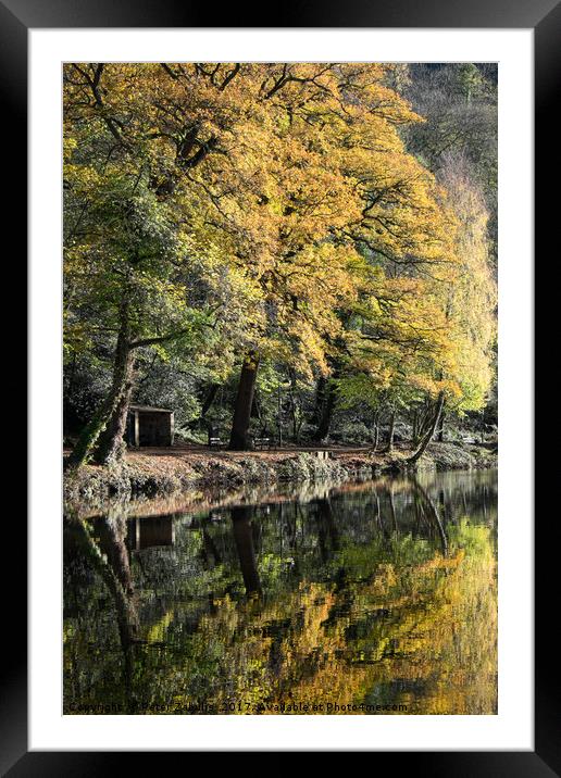 Autumn Reflected Framed Mounted Print by Peter Zabulis