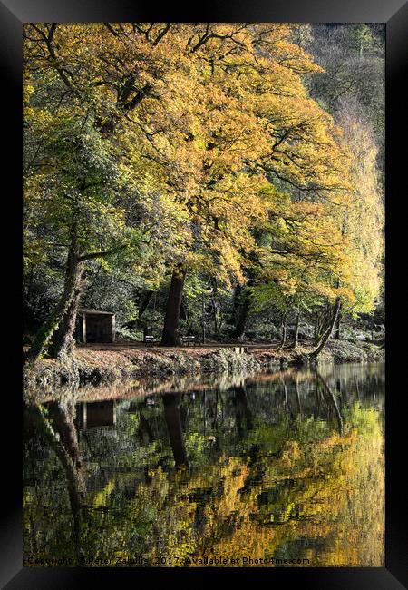 Autumn Reflected Framed Print by Peter Zabulis