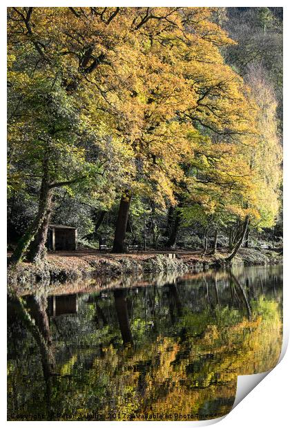 Autumn Reflected Print by Peter Zabulis