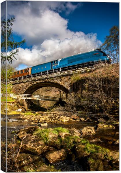 Bittern on the NYMR Canvas Print by Dave Hudspeth Landscape Photography