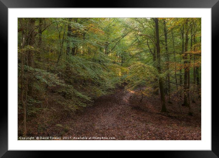 Autumn on Bradley Hill  Framed Mounted Print by David Tinsley