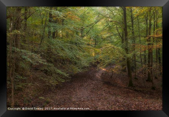 Autumn on Bradley Hill  Framed Print by David Tinsley