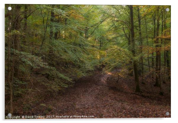 Autumn on Bradley Hill  Acrylic by David Tinsley