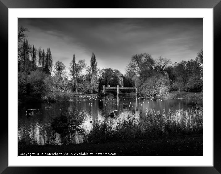 Crossing the Park Framed Mounted Print by Iain Merchant