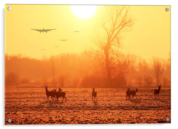 Buzzing the Deer Acrylic by Stephen Ward