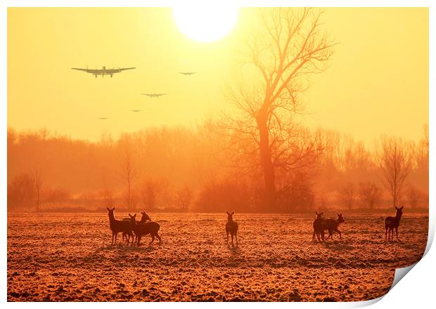 Buzzing the Deer Print by Stephen Ward