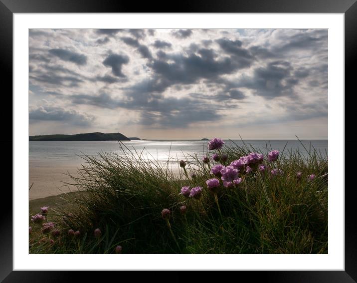 Sea Thrift in Cornwall Framed Mounted Print by Jon Rendle