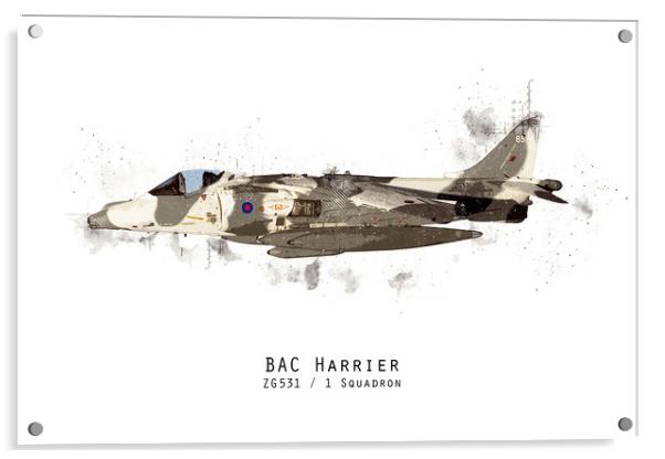 Harrier Sketch - ZG531 Acrylic by J Biggadike