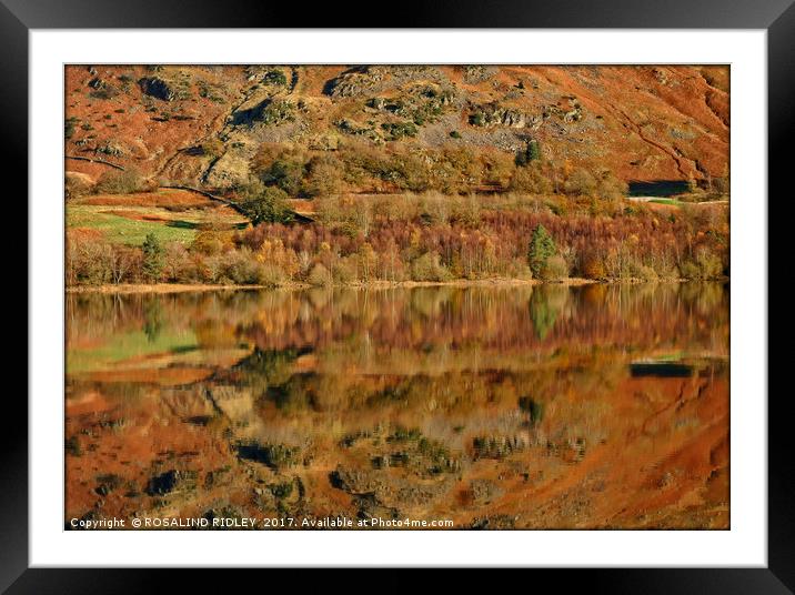 "Autumn Reflections at Thirlmere (1)" Framed Mounted Print by ROS RIDLEY