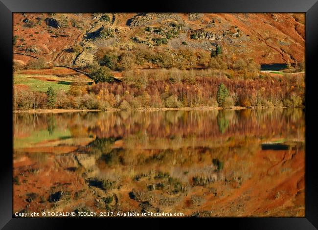 "Autumn Reflections at Thirlmere (1)" Framed Print by ROS RIDLEY