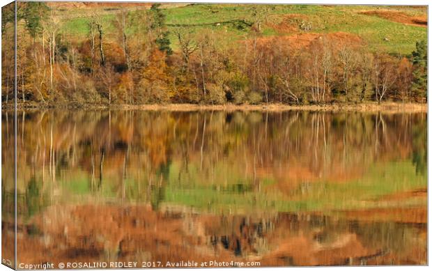 "Autumn reflections at Thirlmere (2)" Canvas Print by ROS RIDLEY