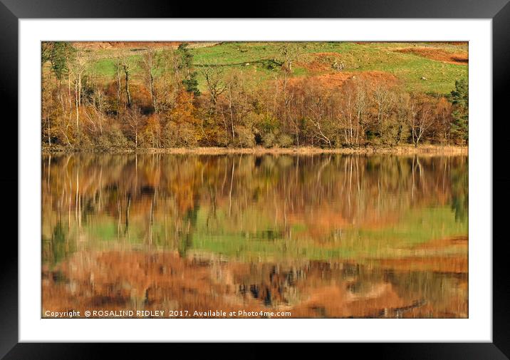 "Autumn reflections at Thirlmere (2)" Framed Mounted Print by ROS RIDLEY
