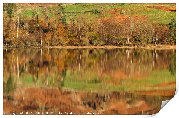"Autumn reflections at Thirlmere (2)" Print by ROS RIDLEY