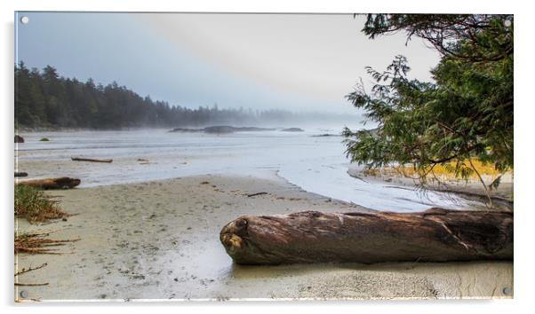 Chesterman Beach Tofino Vancouver Island Acrylic by David Belcher