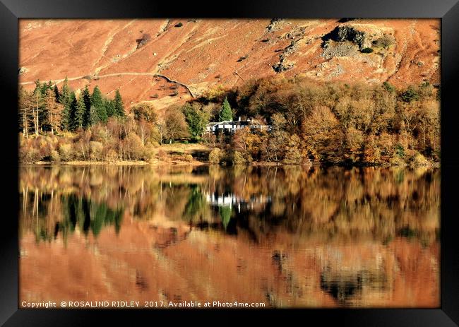 "Autumn reflections at Thirlmere (3)" Framed Print by ROS RIDLEY