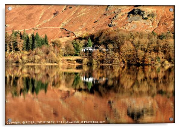 "Autumn reflections at Thirlmere (3)" Acrylic by ROS RIDLEY