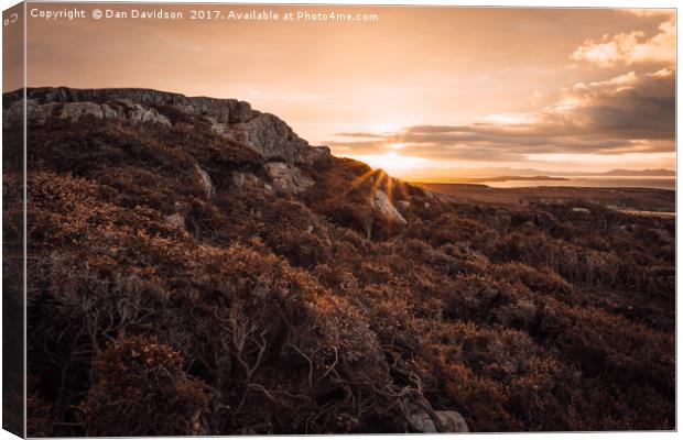 Sunrise on Anglesey Canvas Print by Dan Davidson