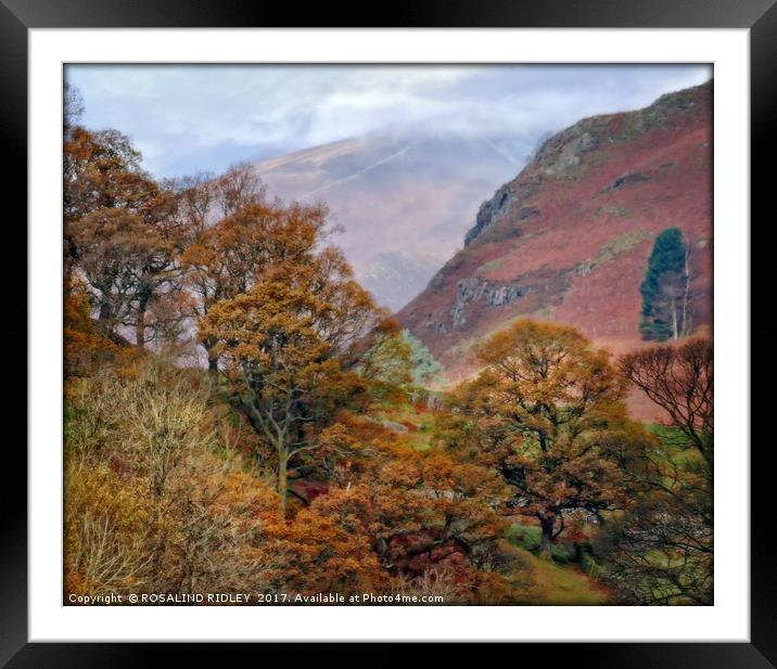 "Autumn trees and misty mountains" Framed Mounted Print by ROS RIDLEY