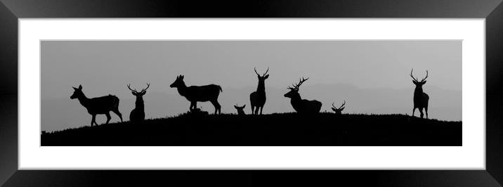 Silhouettes Framed Mounted Print by Macrae Images