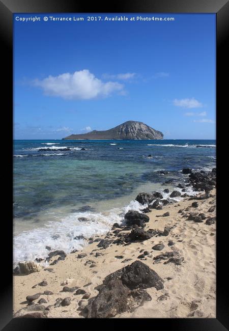 Manana Island, Oahu, Hawaii Framed Print by Terrance Lum