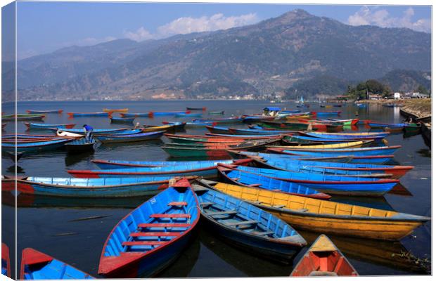 Colourful Rowing Boats  Canvas Print by Aidan Moran