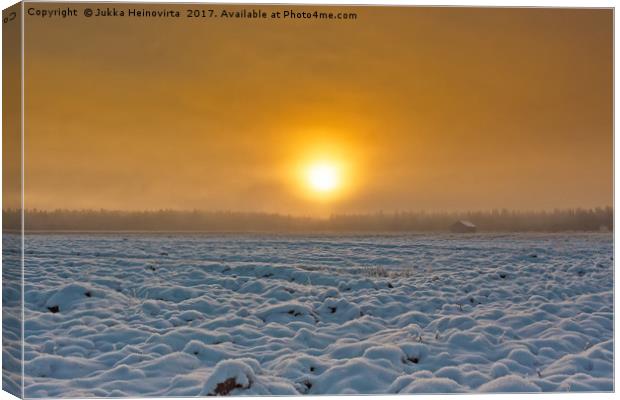 Snowy Fields In The Winter Sunrise Canvas Print by Jukka Heinovirta