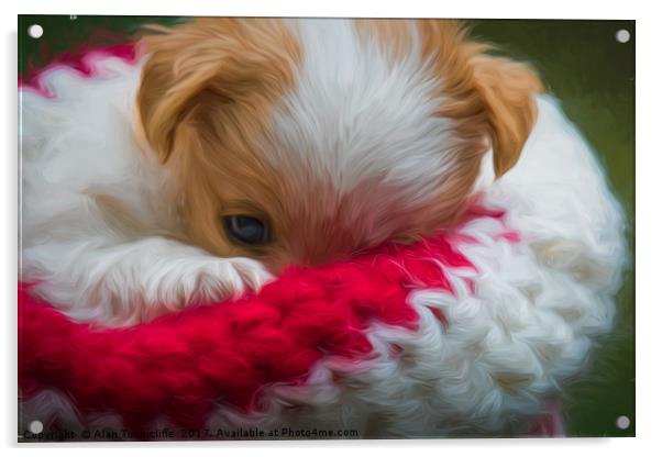 Puppy wrapped in wooly hat Acrylic by Alan Tunnicliffe