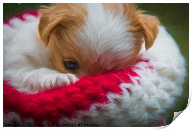 Puppy wrapped in wooly hat Print by Alan Tunnicliffe