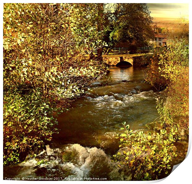 The Stream Print by Heather Goodwin