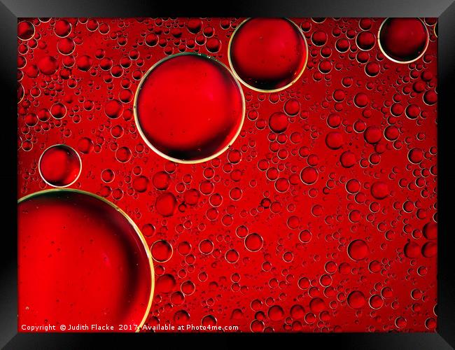 Red bubbles. Oil and liquid abstract.  Framed Print by Judith Flacke