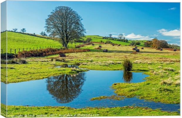 Mynydd Illtyd Common Brecon Beacons Canvas Print by Nick Jenkins