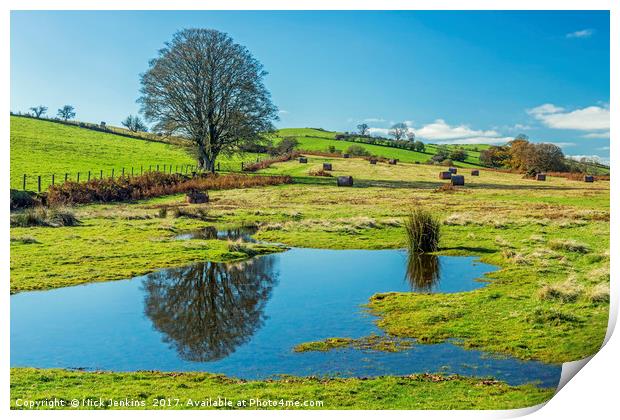 Mynydd Illtyd Common Brecon Beacons Print by Nick Jenkins