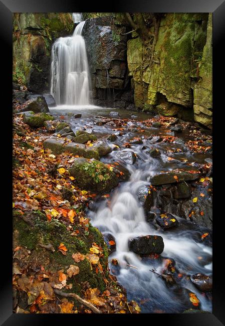 Lumsdale Falls Near Matlock                     Framed Print by Darren Galpin