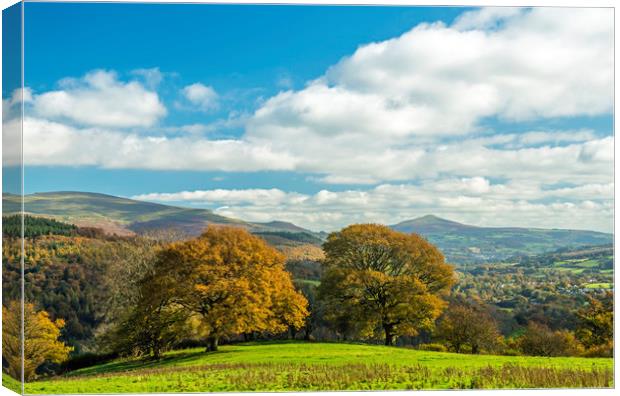 Sugarloaf Mountain Brecon Beacons National Park Canvas Print by Nick Jenkins