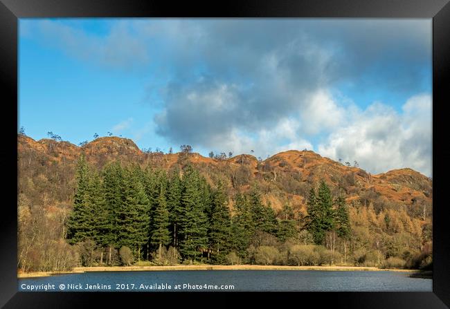 Yew Tree Tarn Coniston Lake District Framed Print by Nick Jenkins