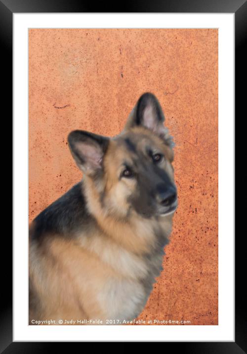 Guiness Wants to Know Framed Mounted Print by Judy Hall-Folde
