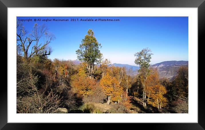         Jungle in Autumn revised                   Framed Mounted Print by Ali asghar Mazinanian