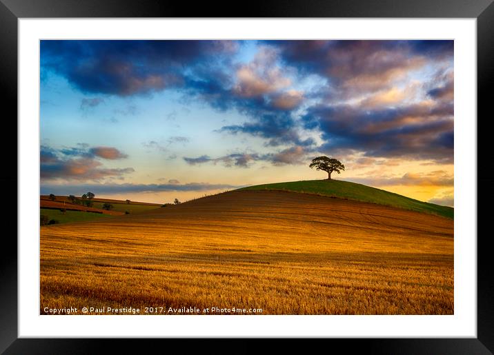 Golden Hour Landscape Framed Mounted Print by Paul F Prestidge